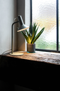 Foscarini Twiggy LED MyLight tunable white, Terra