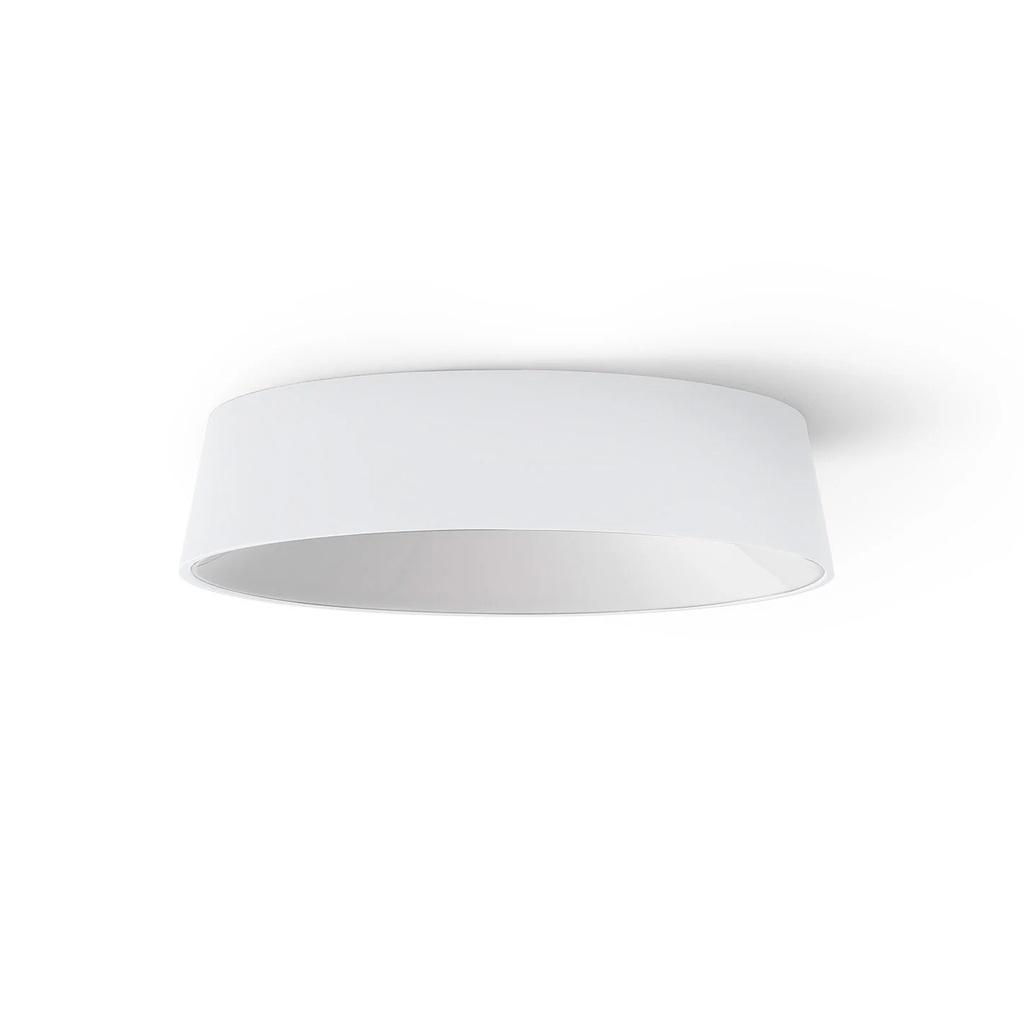 Wastberg w222 Focal r Phase-cut