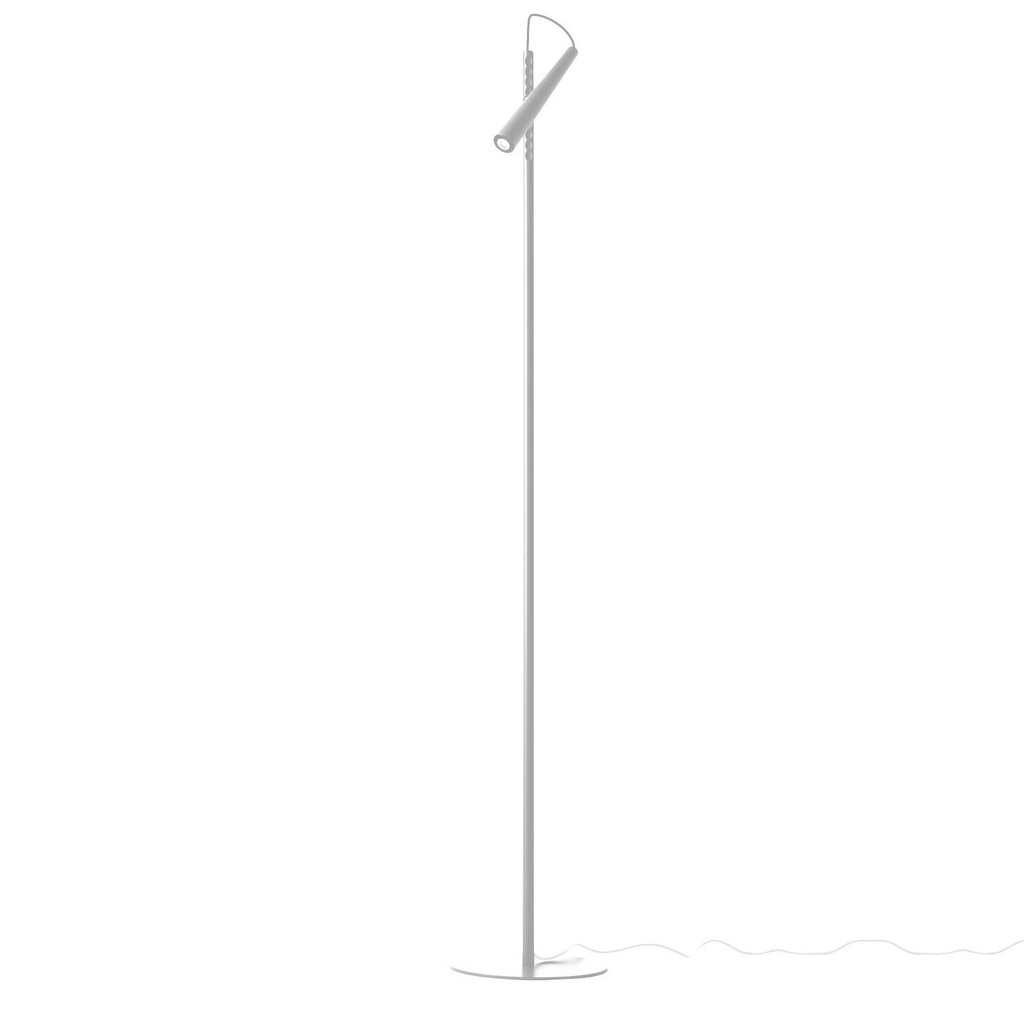 Foscarini Magneto, Terra