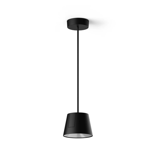 Wastberg w222 Focal s Phase-cut